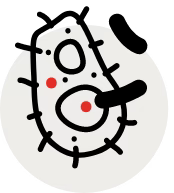 Blocks germs and bacteria